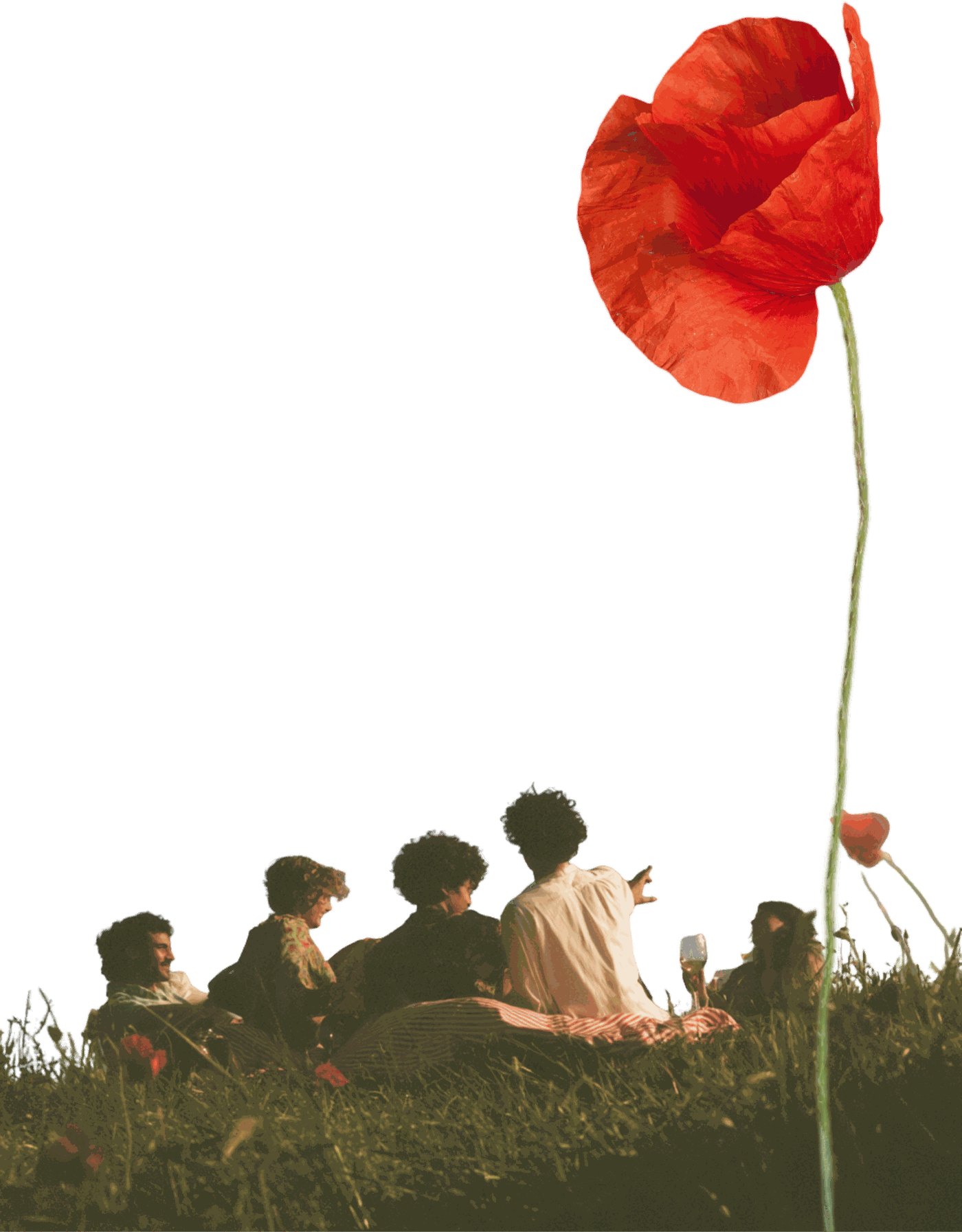 Friends gathered in the grass beneath a giant poppy